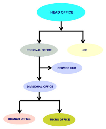 Organisational Structure